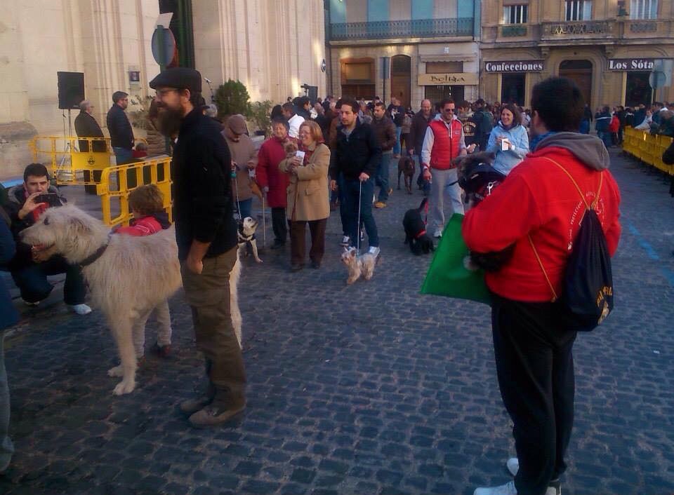 Bendición de Animales el sábado